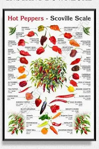 Exploring the Scoville Scale: The Different Levels of Heat in Chili Peppers